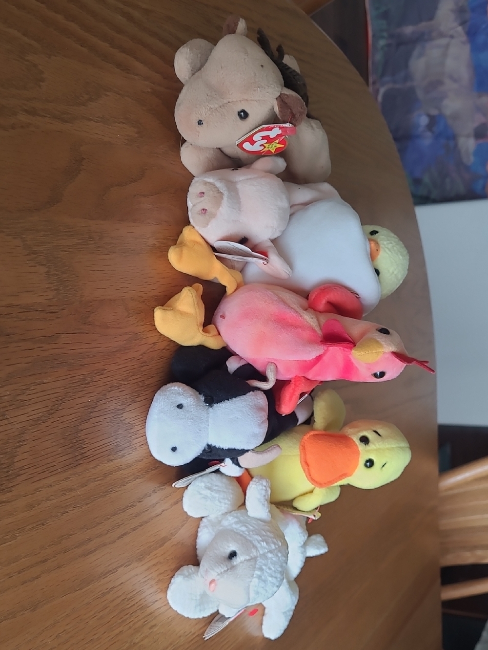 Ty Beanie Babies Assorted Farm Animal Plush Lot Of 7